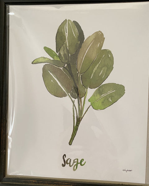 Watercolor Prints - Herbs Parsley, Sage, Rosemary, Thyme